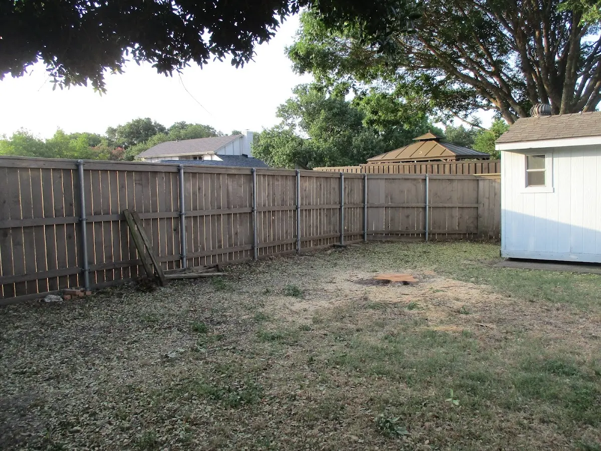 Cleared yard after professional tree removal in Gilbert